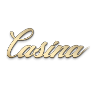 casina crypto casino logo